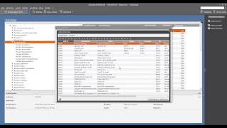 Tutorial Datanorm Kataloge importieren in der Lexware Warenwirtschaft 2013 [upl. by Murdoch]