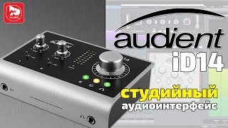 AUDIENT ID14  лучший аудиоинтерфейс для домашней студии [upl. by Arebma]