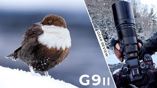 Review of the Panasonic Lumix G9II vs OM1  Gear Review  HandsOn Field Test [upl. by Atsirc549]