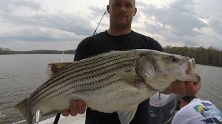 Freshwater Striper fishing Planers and floats With Zakk Royce Kerr lake [upl. by Tiossem]