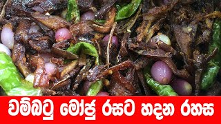 වම්බටු මෝජු ඉක්මනින්ම රසට හදන හැටි මෙන්න  Brinjal Moju Sri Lanka Recipe  Batu Moju Sinhala [upl. by Ennovyhs]