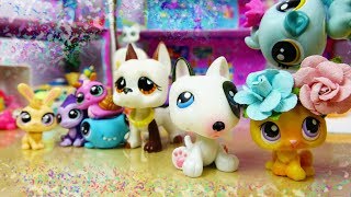 ❀ LPS Behind the Scenes Babysitting Chaos [upl. by Airamas]