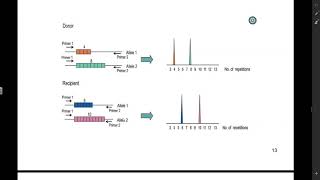 STR Analysis [upl. by Carmencita121]