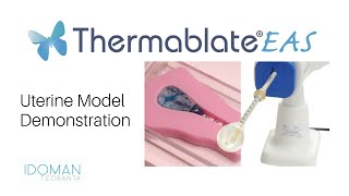 Thermablate®EAS  Thermal Balloon Ablation Uterine Model Demonstration [upl. by Ahsille]