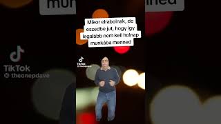 Mikor elrabolnak és nem kell dolgoznod magyarok rövidvideó munka [upl. by Aeynod314]