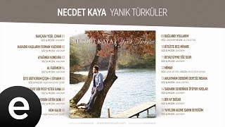 Bağlandı Yollarım Necdet Kaya Official Audio bağlandıyollarım necdetkaya  Esen Müzik [upl. by Enomys]