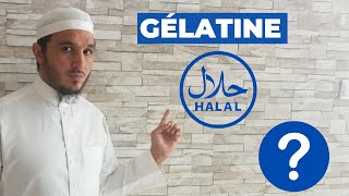 QUELLE GÉLATINE EST VRAIMENT HALAL [upl. by Kain]