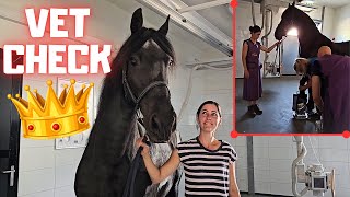 Queen👑Unieks vet check Hopefully shes doing well  Friesian Horses [upl. by Aeslek100]