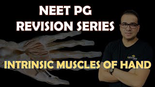 NEET PG INTRINSIC MUSCLES OF HAND [upl. by Ysnap]