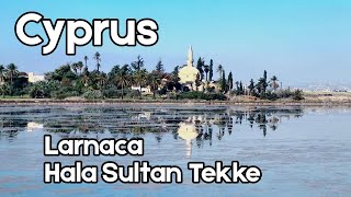 Larnaca  Cyprus  Hala Sultan Tekke  4K [upl. by Ijar913]