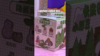 capybara claw machine blinkbox [upl. by Murdocca899]