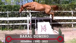 COMPRÁ EN ARGENTINA REMATE HARAS BARAL [upl. by Temirf]