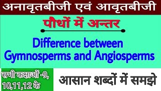 gymnosperm and angiosperm mein antar gymnosperm angiosperm  जिम्नोस्पर्म और एंजियोस्पर्म में अंतर [upl. by Ayahc]