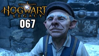 Hogwarts Legacy 100 Platin ★ 067 Biscuits Rettungsmission PS5 Gameplay Deutsch German [upl. by Naimed]