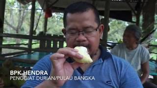 Berburu Durian Premium di Pulau Bangka [upl. by Pinsky]