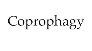 How to Pronounce Coprophagy [upl. by Natsirc]