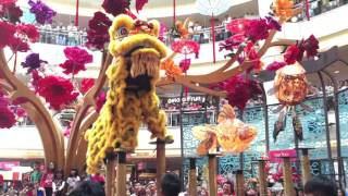 CNY2016 KWONG NGAI AT MID VALLEY ACROBATIC LION DANCE [upl. by Atterbury]