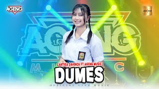 Cantika Davinca ft Ageng Music  Dumes Official Live Music [upl. by Hervey357]