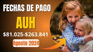 ✅ AnsesFechas de cobro de asignación universal por hijo en agosto de 2024 ESTO VAS A COBRAR [upl. by Suvart]