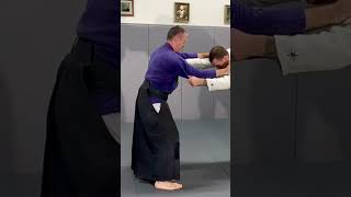 Aikido break fall Full tutorial below [upl. by Aeet291]