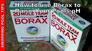 How to use Borax to Raise the pH in your Pool  How much Borax to Add [upl. by Htomit752]