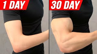 Get Bigger Arms In 30 DAYS   Home Workout [upl. by Eznyl359]