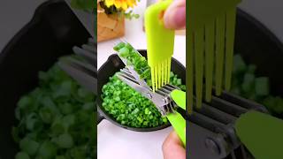 💥💥5 Blade Vegetable Cutter Scissorshorts TechzWar [upl. by Adela185]