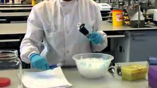 How to Perform a Polymerase Chain Reaction  William Armour amp Laura Towns [upl. by Isma881]