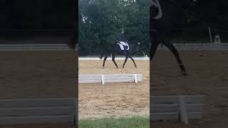 Novice test B 32 eventing turnitup bmecitsyourmove dressage hardwork [upl. by Santana]