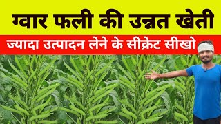 ग्वार की फसल में उत्पादन बढ़ाने के तरीके  Star 610 cluster beans farming  guar ki kheti kaise kare [upl. by Iggie]