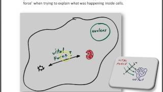 Vitalism to explain biochemistry [upl. by Ramed742]