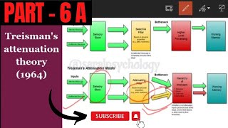 Treisman Attenuation Theory  Easy and fully explained with slideshow psychology [upl. by Grosmark]