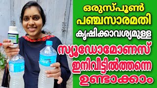 ഒരുസ്പൂൺ പഞ്ചസാര മതി കൃഷിക്കാവശ്യമുള്ള സ്യൂഡോമോണസ് ഇനി വീട്ടിൽത്തന്നെ ഉണ്ടാക്കാം  Pseudomonas [upl. by Anivel371]