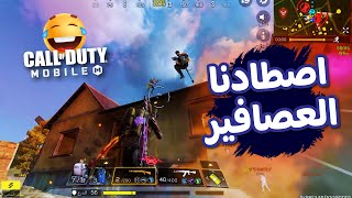 🐦🐦متعة صيد العصافير فى الباتل رويال 🐦‍🔥كود موبايل  COD MOBILE [upl. by Etnwahs]