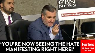 Ted Cruz Gets Interrupted During Hearing By AntiIsrael Protester—Then He Responds [upl. by Maretz135]