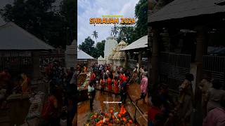 Shravan Somvar kapilashtemple dhenkanal odisha bolbam shorts ytshots shortsvideo shortsfeed [upl. by Sirapal]