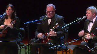 The Ukulele Orchestra of Great Britain play Born This Way Live At Sydney Opera House [upl. by Glover]