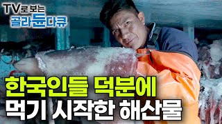 관심조차 없던 해산물 한국에 모조리 수출하다 덩달아 먹기 시작했다｜전 세계 2위 페루의 수출 효자｜바다의 포식자 만선 대왕 오징어잡이｜훔볼트 오징어｜인간과 바다｜골라듄다큐 [upl. by Hound]