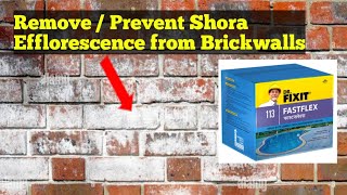 Prevent Shora  Efflorescence from Brick Walls with Dr Fixit Fastflex [upl. by Annoj763]