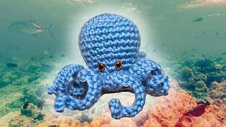 🐙 Teje un PULPO AMIGURUMI Adorable  Tutorial Fácil 💙 [upl. by Abey]