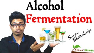 Alcohol fermentation [upl. by Ninnetta394]