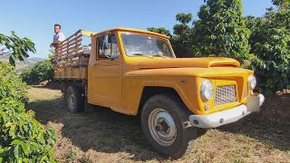 NA ROÇA BUSCANDO CAFÉ NA LAVOURA DE F75PLANTAÇÃO DE ABÓBORAESTRADA DE TERRA NO SUL DE MINAS GERAIS [upl. by Ashby]