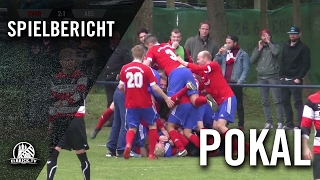 SV HalstenbekRellingen  Altona 93 Halbfinale Pokal der 1 Herren 20162017  Spielbericht [upl. by Dasa78]