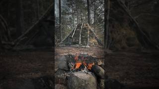 I found a shelter and made a fire bushcraft survival campfire [upl. by Mich]