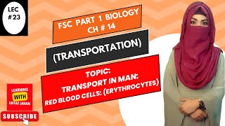 Ch14  Lec 23  TRANSPORT IN MAN Red Blood CellsErythrocytes FSc Bio part 1riffatjahan [upl. by Winnah660]