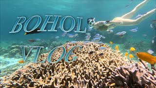 필리핀 보홀 🐟Bohol VLOG🦀  아모리타 리조트  프리다이빙과 스쿠버다이빙 🤿  호핑투어 🐢 [upl. by Wieche]