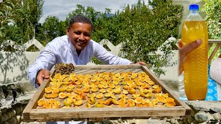 Harvesting a Lot of Apricots for Drying  Apricots Oil  Traditional Method of Preserving Apricots [upl. by Sarnoff]