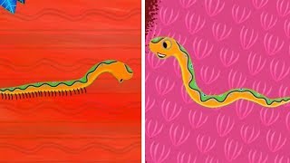 Tinga Tinga Tales Official  Why Snake Has No Legs  Tinga Tinga Tales Full Episodes [upl. by Ydnem995]