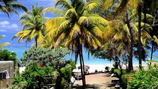 Mauritius Guesthouse  Noix de Coco  Rooms for rent  Pointe d´Esny Beach [upl. by Gerti]