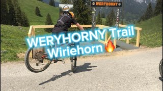 WERYHORNY Trail Wiriehorn🔥 [upl. by Cown296]